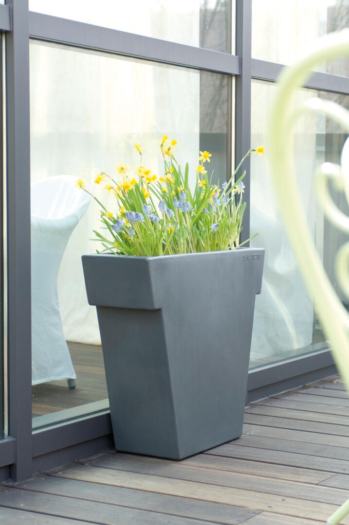 il Vaso – Bild 5